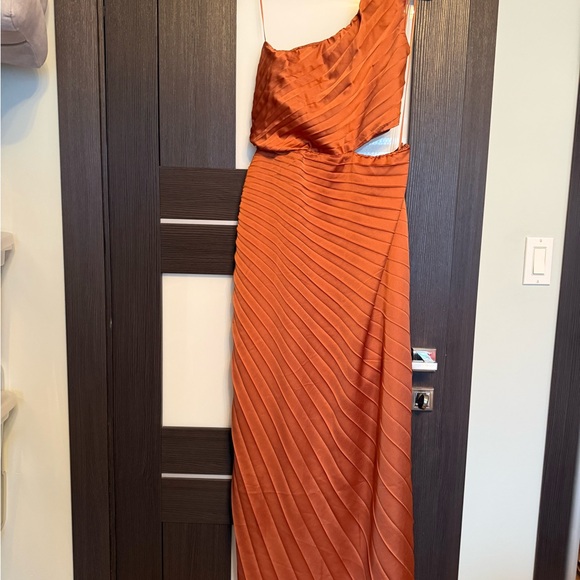Abercrombie & Fitch Rust Satin Dress - Picture 5 of 9